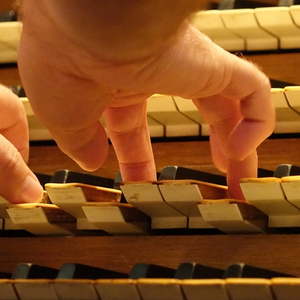 Domorganist Wolfgang Kreuzhuber an der Rudigierorgel