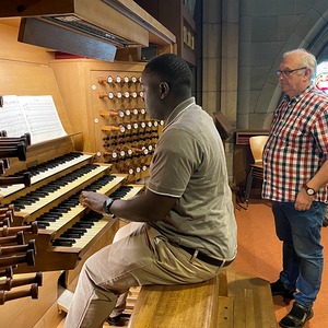 Besuch der Rudigierorgel im Mariendom in Linz