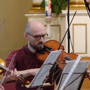 Viola