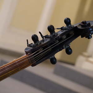 Violone