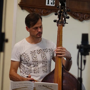 Violone