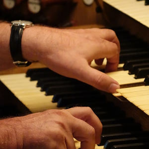 Domorganist Wolfgang Kreuzhuber an der Rudigierorgel