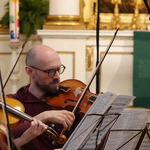 Viola