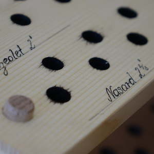 Hausorgel