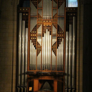 Und einen feinen Blick auf die Rudigierorgel kann man auch erhaschen!